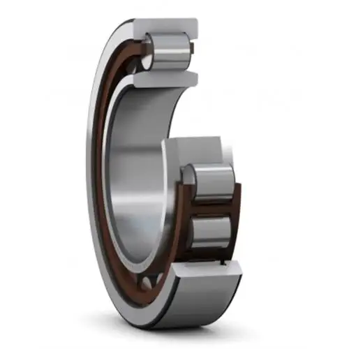 cylindrical-roller-bearing-309-ecp in Eswatini