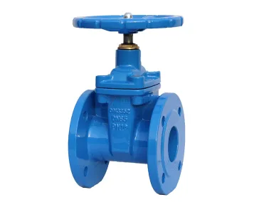 Gate valve in Namibia