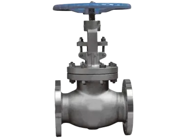 Globe valve in Namibia