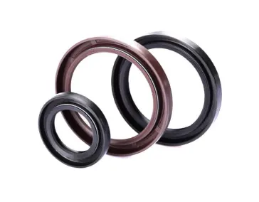 Oil Seals