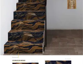 Steps and Risers in India