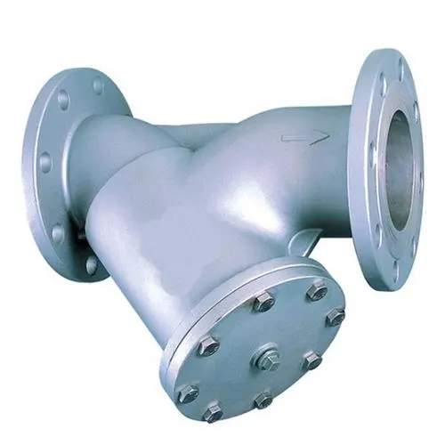STRAINERS Y TYPE in Bhutan