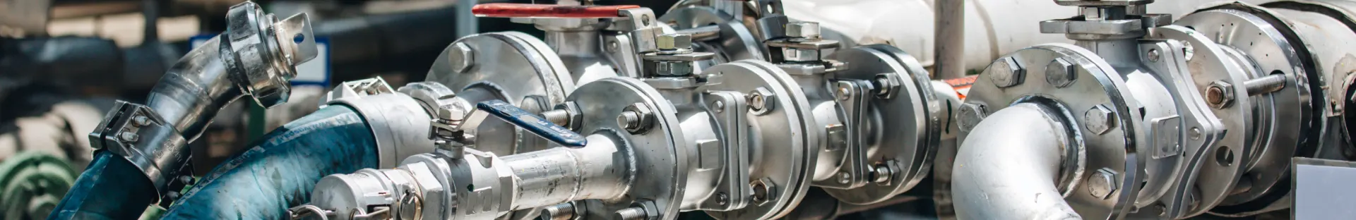 Valves image in Namibia