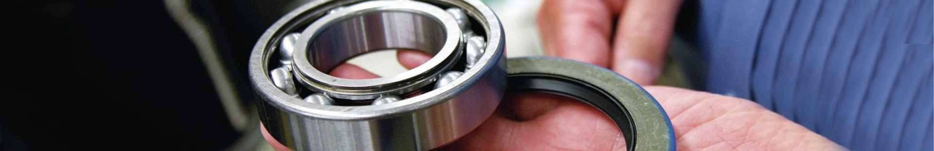 Bearings & Transmission Manufacturer, Supplier and Exporter image